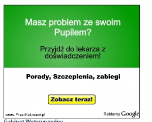 reklama-graficzna-adwords-znaczek.jpg