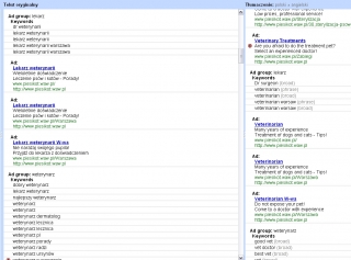 google-translator-adwords-przyklad.jpg