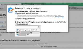 ga-adwords-wybor-profilu.png